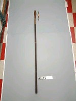 藏品(吹箭槍)的圖片